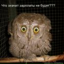 Андрій Стефанюк фотография #28 (источник - https://vk.com/id13519574)