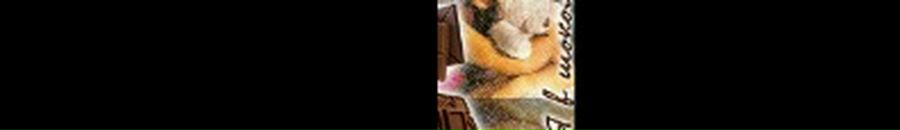 Наташа Мізецька фотография #42 (источник - https://vk.com/id92170046)