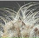 Ваня Садохін фотография #43 (источник - https://vk.com/id152568009)