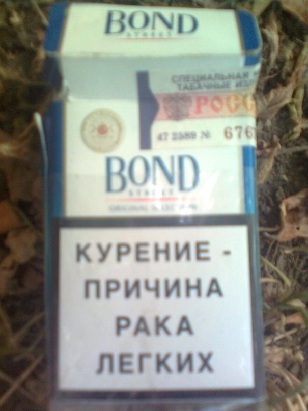 Дима Борисов фотография #26