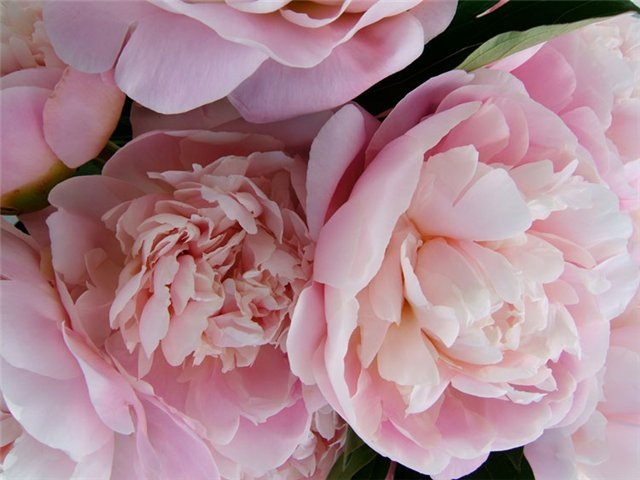 Даша Кондратенко фотография #29