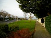 Іра Брелюс фотография #17 (источник - https://vk.com/id21676514)