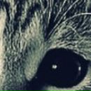 Пєтя Сверба фотография #34 (источник - https://vk.com/id19829246)