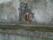 Roma Vodka фотография #47 (источник - https://vk.com/id2944570)