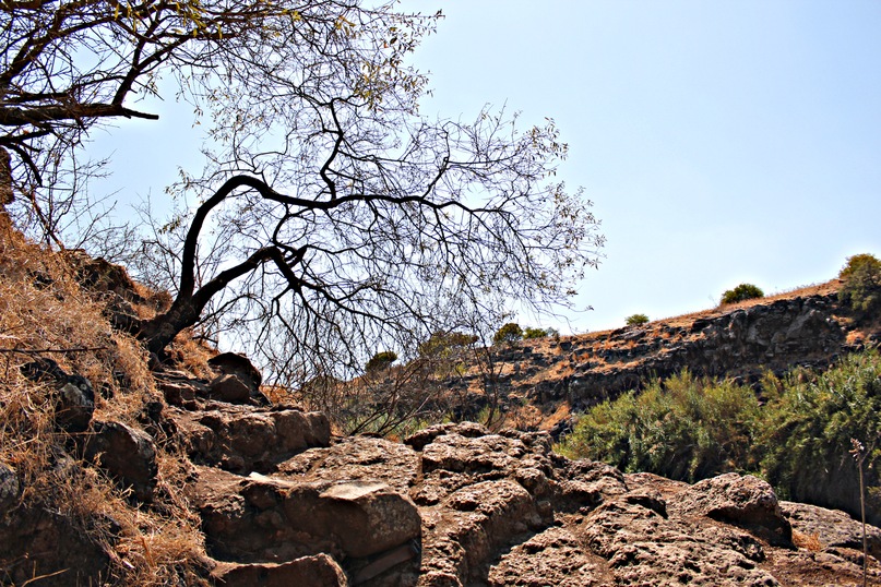 Игорь Храмцов фотография #39