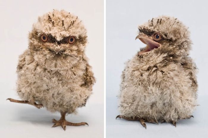 Дмитрий Беляев фотография #49