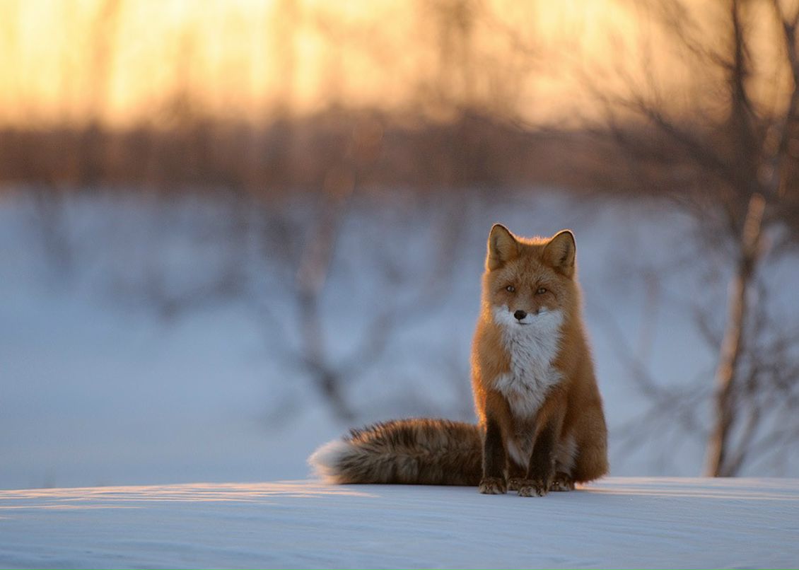 Егор Борисов фотография #37