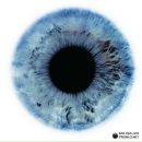 Наталія Гритчак фотография #46 (источник - https://vk.com/id47452160)