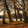 Оля Сікорська фотография #25 (источник - https://vk.com/id168593973)