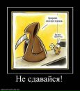 Фотография Mouse Naddi
