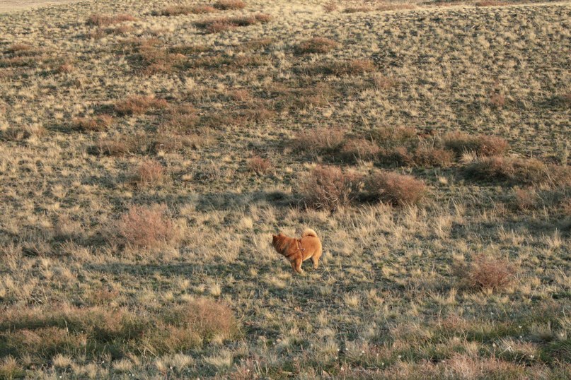 Orlov Ivan фотография #47