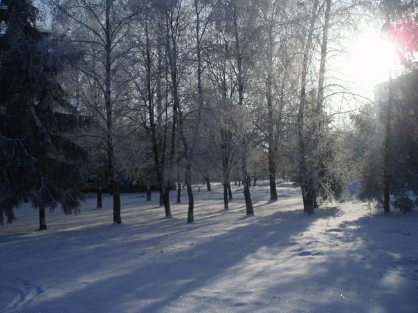 Дмитрий Федосов фото №20