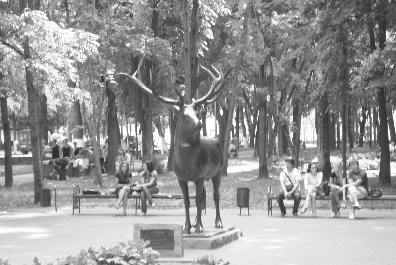 Сергей Бугрименко фотография #44