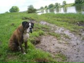 Фотография Перовой Натальи