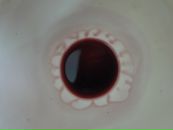 Фотография Домбровской Елены