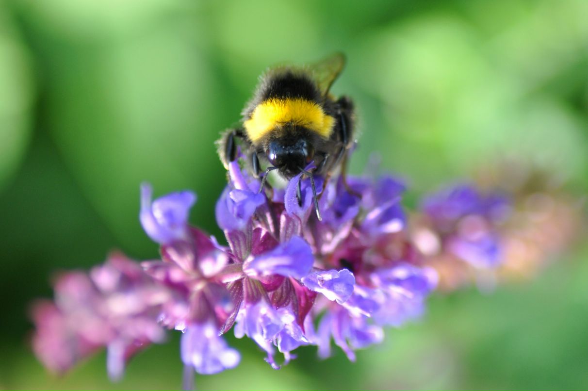 Юля Бойко фотография #44