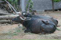 Фотография Чемаревой Марии