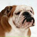 Фотография Журавеля Антона