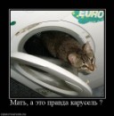 Евгений Панасенко фотография #2 (источник - https://vk.com/id30587454)