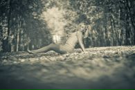 Фотография Ягоды Марины