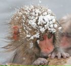 Фотография Петровой Надежды