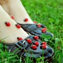 Іванна Капіца фотография #42 (источник - https://vk.com/id12073003)