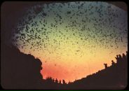 Фотография Миклухамаклай Насти