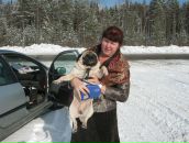 Фотография Шиловской Елены