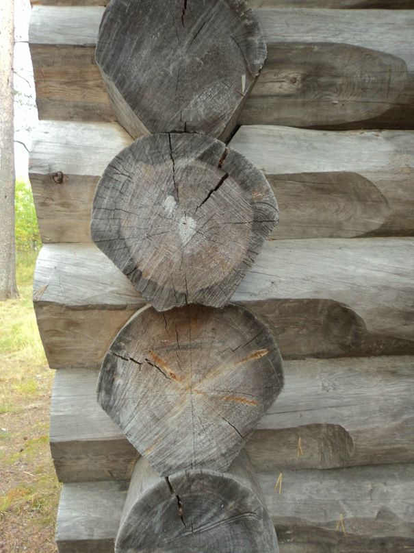 Макс Лесонен фотография #47