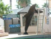 Нюта Якубів фотография #13 (источник - https://vk.com/id63750607)