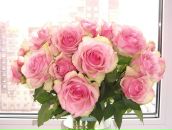 Фотография Лапиной Екатерины