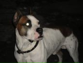 Віталька Бублик фотография #7 (источник - https://vk.com/id205664569)