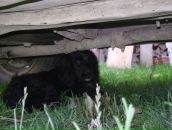 Ігор Савчук фотография #35 (источник - https://vk.com/id40984754)