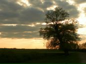 Найкраще-Село Острів фотография #9 (источник - https://vk.com/id214194269)