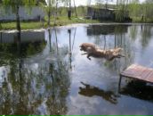 Marko Pilder фотография #26 (источник - https://vk.com/id4700148)