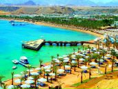 Фотография Корякова Катя