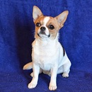 Фотография Бобровой Ольги