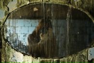 Фотография Никитченко Светланы