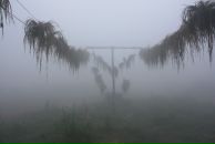 Арина Юрьевна фотография #14 (источник - https://vk.com/id52568)