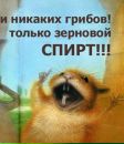 Фотография Прохорчука Макса