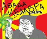 Фотография Доктора Котта