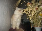 Фотография Гежиной Марины