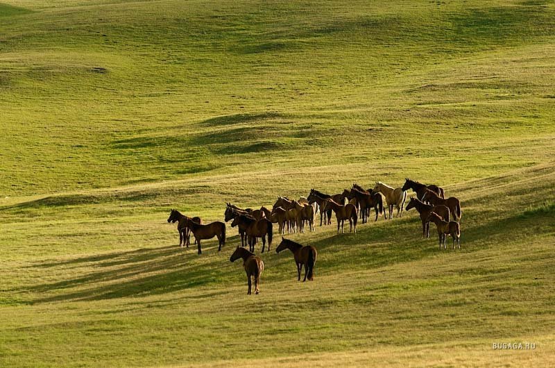 Акшашты Паша фотография #49