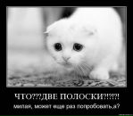 Tol Ya фотография #44 (источник - https://vk.com/id14660620)