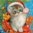 Соломійка Салятицька фотография #24 (источник - https://vk.com/id167738935)