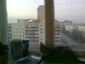 Фотография Хасановой Дианы