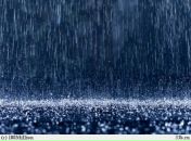 Фотография Кошмина Дениса