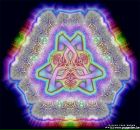 Фотография Кожевниковой Натальи