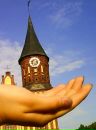 Фотография Кацнельсон Екатерины