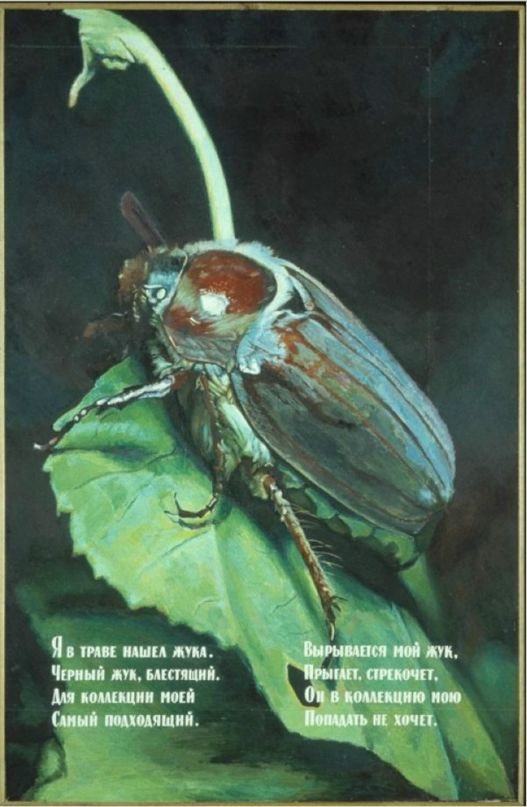 Иван Колдышев фотография #13